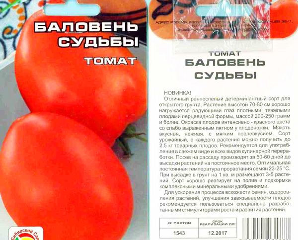 сорта томатов для теплицы устойчивые к фитофторе