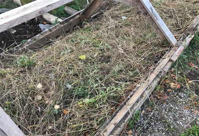 Что положить в парник осенью