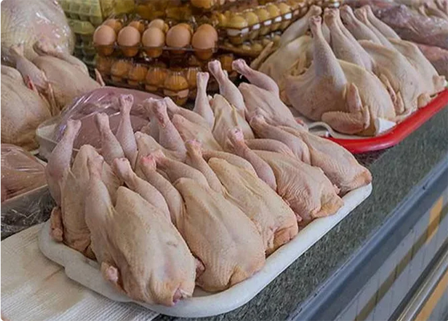 бизнес на курах